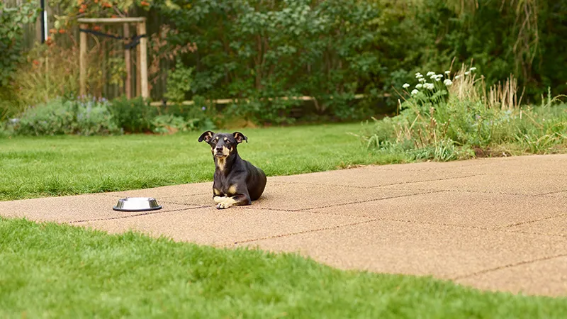 Die Terrasse aus beige-braunen Terrassenplatten fügt sich harmonisch in den naturnah gestalteten Garten ein. Der rutschfeste und trittelastische Plattenbelag isoliert gegen Bodenkälte und dämpft Vibrationen und Körperschall. Die Terrassenoberfläche ist wasserdurchlässig und trocknet nach Regen schnell ab - Regenwasser kann auf natürliche Weise im Untergrund versickern. Der angenehme Terrassenbelag bietet Fallschutz und vermindert so die Verletzungsgefahr.  
Der Terrassenbelag aus Gummigranulatplatten ist ideal für spielende Kinder, für Haustiere, aber auch für Senioren. Er bietet einen komfortablen, sicheren und angenehmen Untergrund.