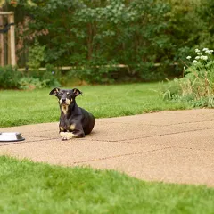 Die Terrasse aus beige-braunen Terrassenplatten fügt sich harmonisch in den naturnah gestalteten Garten ein. Der rutschfeste und trittelastische Plattenbelag isoliert gegen Bodenkälte und dämpft Vibrationen und Körperschall. Die Terrassenoberfläche ist wasserdurchlässig und trocknet nach Regen schnell ab - Regenwasser kann auf natürliche Weise im Untergrund versickern. Der angenehme Terrassenbelag bietet Fallschutz und vermindert so die Verletzungsgefahr.  
Der Terrassenbelag aus Gummigranulatplatten ist ideal für spielende Kinder, für Haustiere, aber auch für Senioren. Er bietet einen komfortablen, sicheren und angenehmen Untergrund.