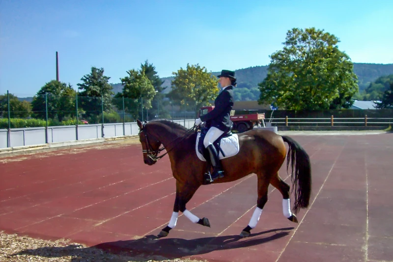 WARCO Paddockmatten sind auch als Reitbodenbelag in der Reitbahn oder auf einem Außenplatz eine gute, wetterfeste und pflegeleichte Alternative zum arbeitsintensiv zu pflegenden Reitsand auf dem Reitplatz.