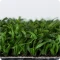 Erba artificiale verde