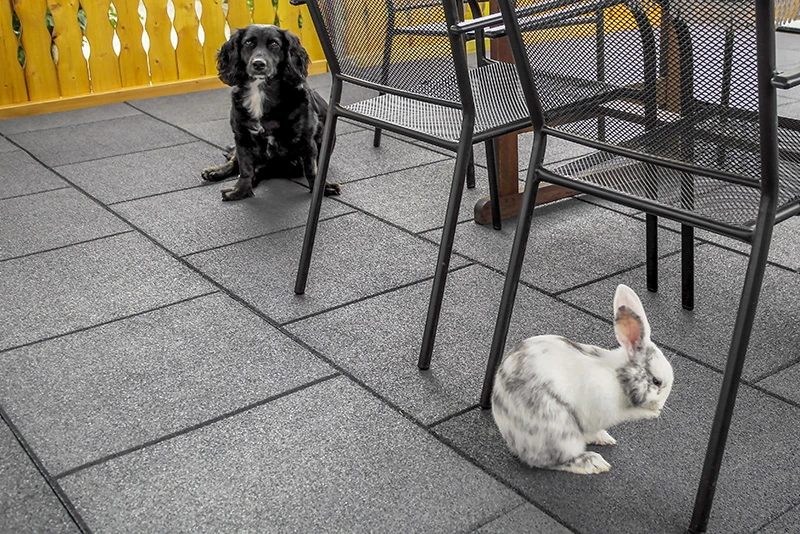 Un coniglio bianco e un cane nero giocano tranquillamente su una terrazza rivestita con il pavimento WARCO, che resiste alle intemperie e isola dal freddo.